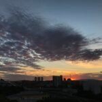 IMG_8375